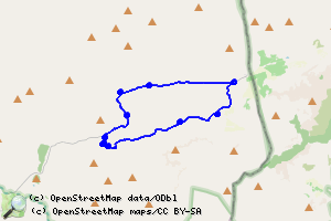 Pinar de la Muela y Hoya de Taibena 