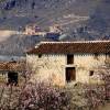 Cortijo abandonado - Albox