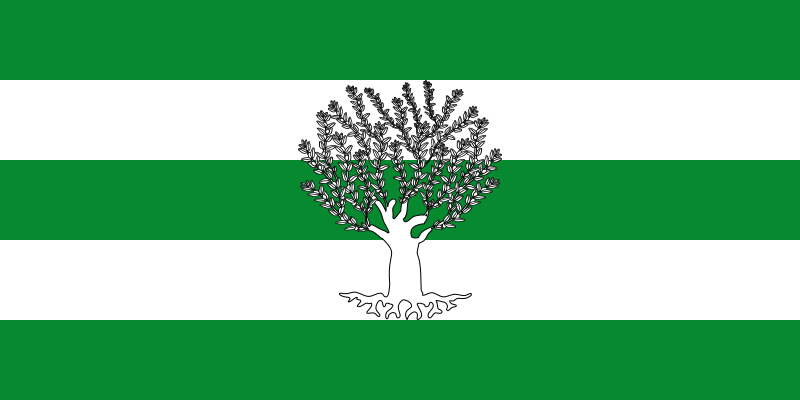 bandera_lijar.png