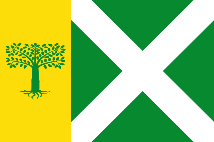 bandera_turrillas.png