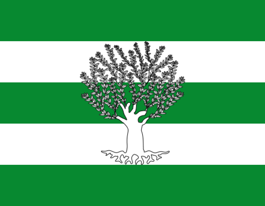 bandera_lijar.png